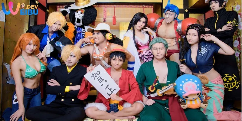 cosplay one piece
